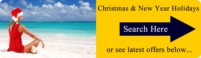 /Christmas New Year Holidays